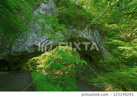 View from the upstream side of Obashi Bridge at Taishaku Gorge, surrounded by fresh greenery. Ver3 123149291