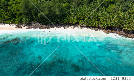 Waves gently wash over the white sand beach surrounded by tropical vegetation. Anse Intendance. Seychelles, Mahe. Waves gently wash over the white sand beach surrounded by tropical vegetation. Anse Intendance. Seychelles, Mahe. 123149333