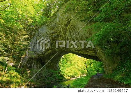 從帝釋峽大橋下游望去，周圍綠樹成蔭。 123149427