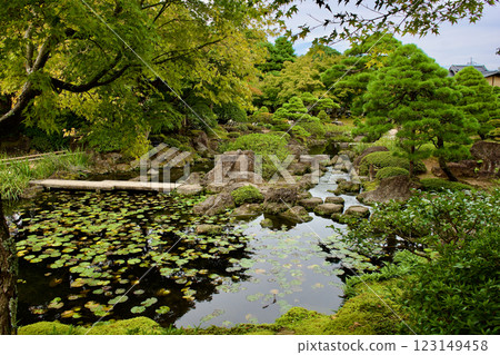 深秋美麗的日本庭園 深秋美麗的日本庭園 123149458
