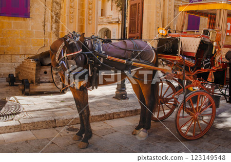 Traditional Horse Drawn Carriage in Mdina, Malta Historic City Tour Experience 123149548