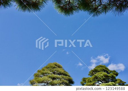 藍天綠松背景材料 藍天綠松背景材料 123149588