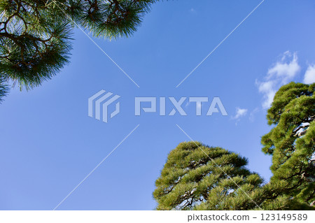 藍天綠松背景材料 123149589