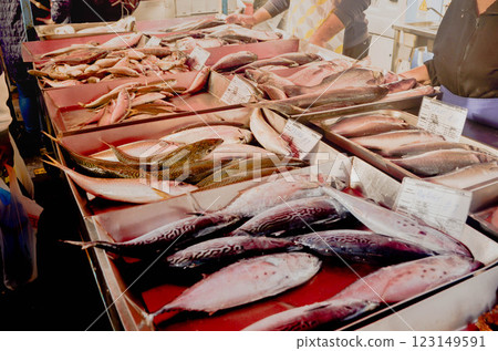 Variety of Fresh Fish on Display at Local Market Variety of Fresh Fish on Display at Local Market 123149591