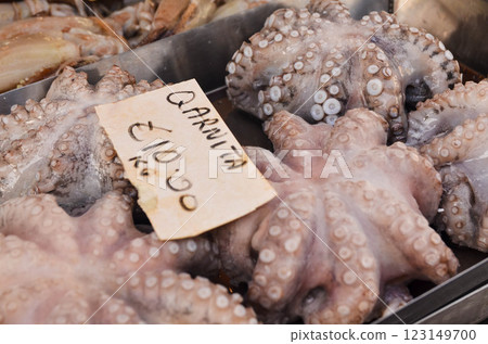 Fresh Octopus for Sale at a Seafood Market with Price Tag Fresh Octopus for Sale at a Seafood Market with Price Tag 123149700