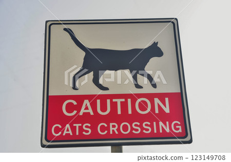 Caution Cats Crossing Sign Warning for Drivers and Pedestrians Caution Cats Crossing Sign Warning for Drivers and Pedestrians 123149708