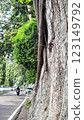 Detailed view of an old tree trunk wrapped with sprawling vine branches, portraying growth, resilience, and the beauty of nature's organic forms. 123149792