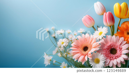 藍色背景上粉紅色非洲菊花的背景 123149889