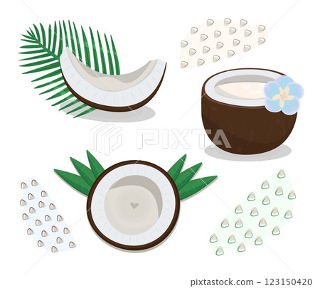 Colorful coconut set in different variations, nut piece with leaves, half of coconut, vector illustrations Colorful coconut set in different variations, nut piece with leaves, half of coconut, vector illustrations 123150420