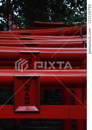 Kanagawa: Red torii gate of Shirasasa Inari Shrine Kanagawa: Red torii gate of Shirasasa Inari Shrine 123150793