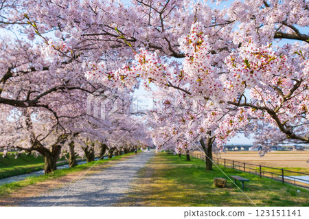 Asahi Funagawa River Asahi Funagawa River 123151141