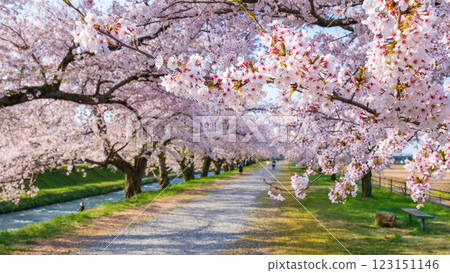 旭船川河 123151146