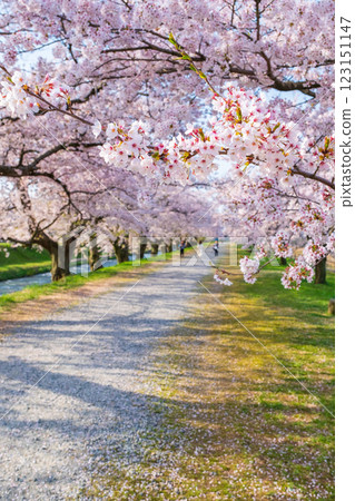 Asahi Funagawa River Asahi Funagawa River 123151147