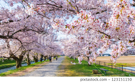 旭船川河 旭船川河 123151150