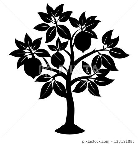 Orange Tree Icon Minimalist Citrus Illustration for Eco Friendly Branding and Organic Product Design  123151895