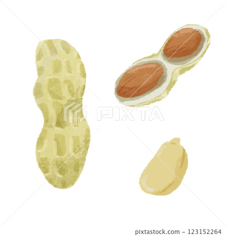 Peanut hand drawn color illustration set 123152264