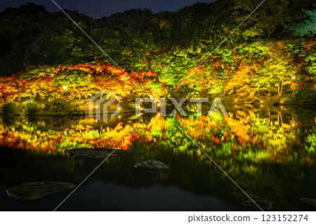 [高松市]栗林公園秋季燈飾[紅葉] 123152274