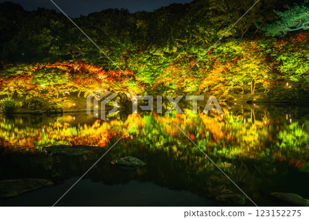 [Takamatsu City] Ritsurin Park Autumn Illumination [Autumn Leaves] 123152275