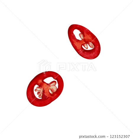 red hot pepper cut into slices. Chili pepper slices. Watercolor illustration without background. red peel and yellow pepper seeds. Food preparation and cooking.  123152307
