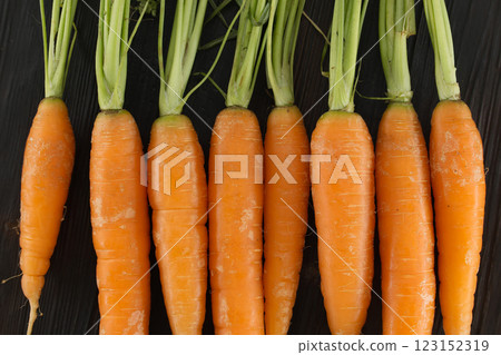 Fresh Organic Carrots with Green Tops Arranged on a Dark Wooden Background 123152319