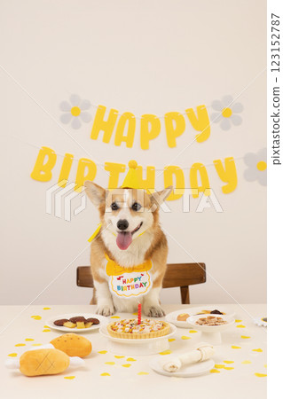 A cute puppy wearing a cone hat and enjoying his birthday A cute puppy wearing a cone hat and enjoying his birthday 123152787