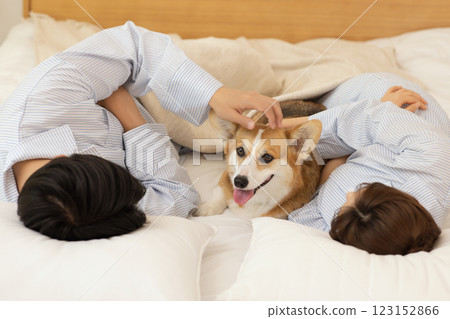 Portrait of young couple lying in bed with dog 123152866