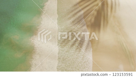 Image of palm tree leaf over beach and sea 123153591