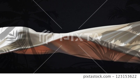 Image of silhouettes of palm trees and plants over black background 123153622