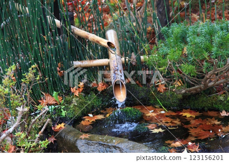 Scenery of the Shishiodoshi at Kosetsuen Garden_Hakodate Scenery of the Shishiodoshi at Kosetsuen Garden_Hakodate 123156201