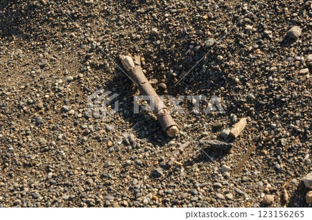 Fallen twigs on the beach 123156265