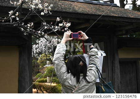 梅花盛開，日本旅遊及旅遊資料 123156476