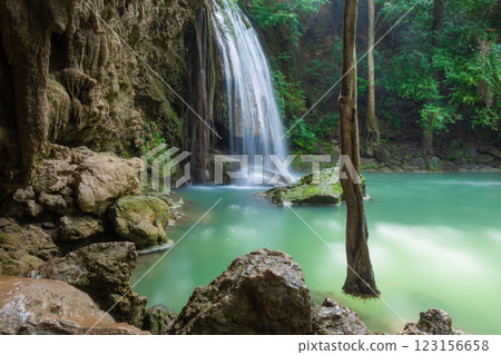 forest, river, waterfall 123156658