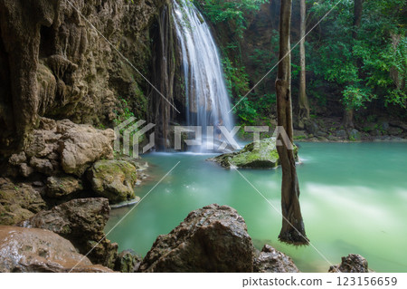 forest, river, waterfall 123156659