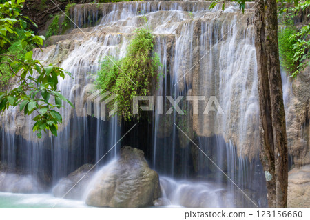 forest, river, waterfall 123156660