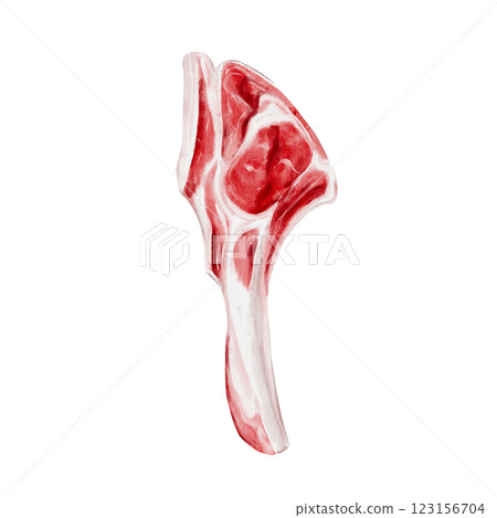 A piece of meat on a bone. Rib with meat. barbecue steak. Fresh raw meat. lamb and beef. Pork or horse meat. For menu Butcher shop assortment. watercolor illustration isolated from background.  123156704