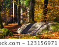 The  Hermitage is a woodland walk with stunning views of the waterfall, river, and a great place to enjoy and take in nature and the relaxing atmosphere especially in autumn, Dunkeld, Perth, Scotland  123156971