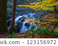 The  Hermitage is a woodland walk with stunning views of the waterfall, river, and a great place to enjoy and take in nature and the relaxing atmosphere especially in autumn, Dunkeld, Perth, Scotland  123156972