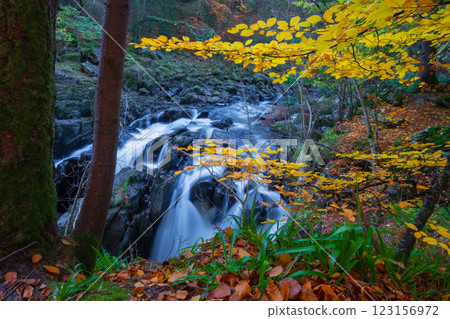 The  Hermitage is a woodland walk with stunning views of the waterfall, river, and a great place to enjoy and take in nature and the relaxing atmosphere especially in autumn, Dunkeld, Perth, Scotland  123156972
