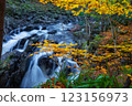 The  Hermitage is a woodland walk with stunning views of the waterfall, river, and a great place to enjoy and take in nature and the relaxing atmosphere especially in autumn, Dunkeld, Perth, Scotland  123156973