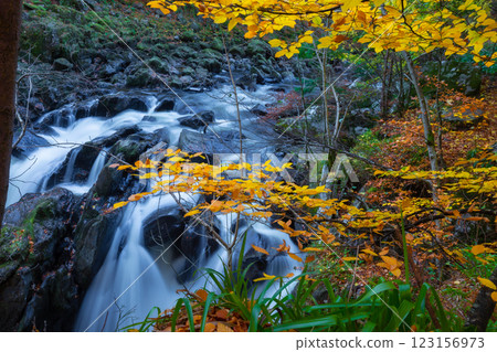 The  Hermitage is a woodland walk with stunning views of the waterfall, river, and a great place to enjoy and take in nature and the relaxing atmosphere especially in autumn, Dunkeld, Perth, Scotland  123156973