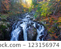 The  Hermitage is a woodland walk with stunning views of the waterfall, river, and a great place to enjoy and take in nature and the relaxing atmosphere especially in autumn, Dunkeld, Perth, Scotland  123156974