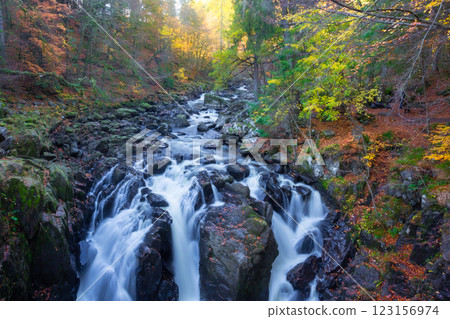 The  Hermitage is a woodland walk with stunning views of the waterfall, river, and a great place to enjoy and take in nature and the relaxing atmosphere especially in autumn, Dunkeld, Perth, Scotland  123156974