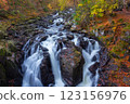 The  Hermitage is a woodland walk with stunning views of the waterfall, river, and a great place to enjoy and take in nature and the relaxing atmosphere especially in autumn, Dunkeld, Perth, Scotland  123156976