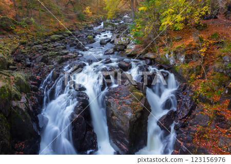 The  Hermitage is a woodland walk with stunning views of the waterfall, river, and a great place to enjoy and take in nature and the relaxing atmosphere especially in autumn, Dunkeld, Perth, Scotland  123156976