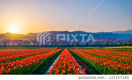 Asahi Funakawa (spring/dawn) Asahi Funakawa (spring/dawn) 123157168