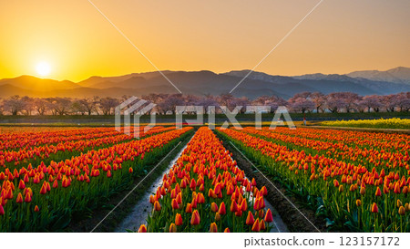 船川朝日（春天/黎明） 123157172