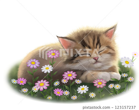 Sleeping cat background C Sleeping cat background C 123157237