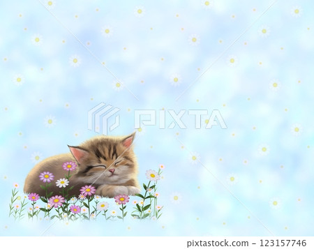 Sleeping cat background (floral pattern) G-2 Sleeping cat background (floral pattern) G-2 123157746