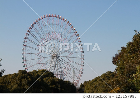 葛西臨海公園的鑽石與花摩天輪 葛西臨海公園的鑽石與花摩天輪 123157985