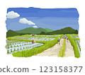 Rural landscape 123158377